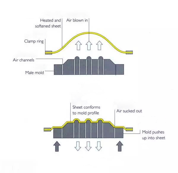 陽模和陰模在熱成型中的區(qū)別是什么?